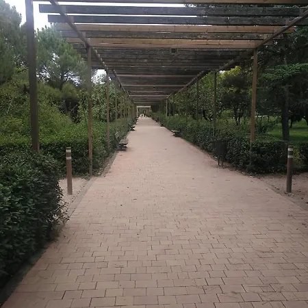Imperial, 9 *