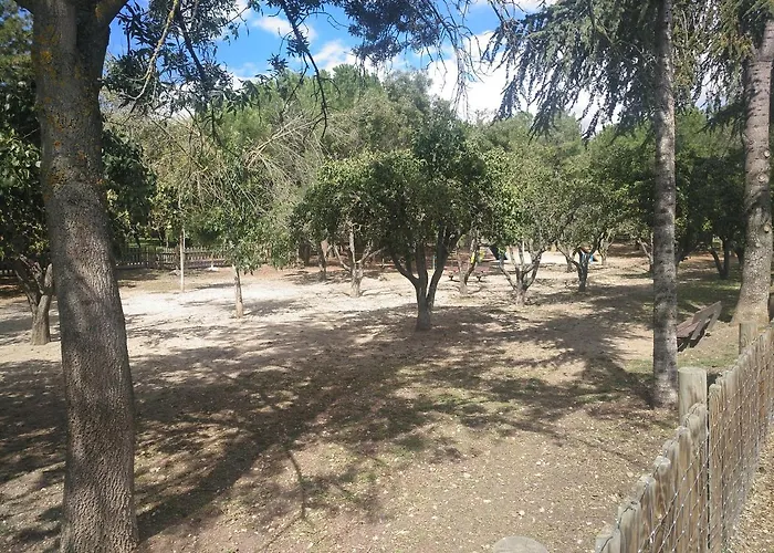Imperial, 9 דירה